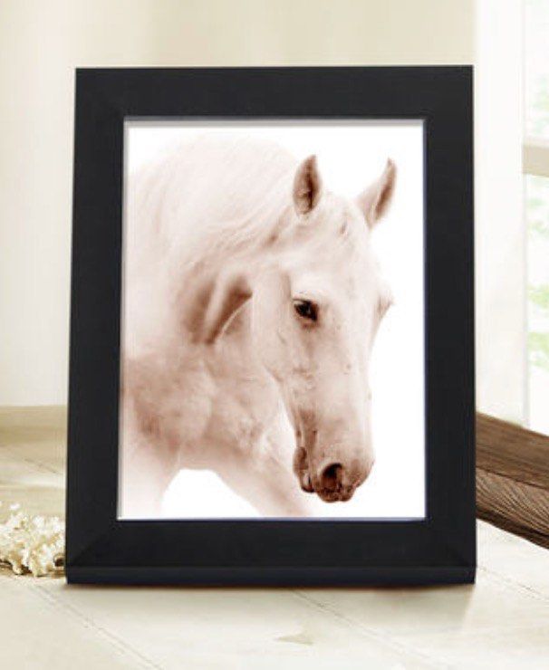 Photo Frames64885323656323112
