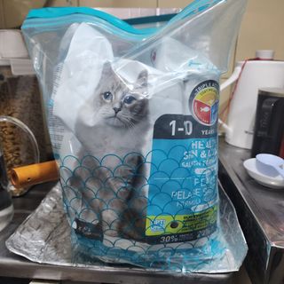 （分類：）位於 。 由 moregu.day 提交（商品編號 1363298368，圖片 1）。簡介： 。