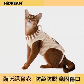 （分類：）位於 。 由 sweet_dream20171115 提交（商品編號 1363255972，圖片 1）。簡介： 。