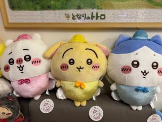 （分類：）位於 。 由 wendyc08 提交（商品編號 1363206027，圖片 1）。簡介： 。