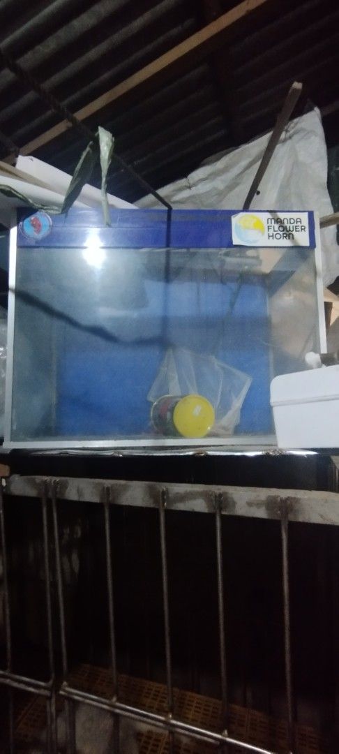 Aquarium (Category: Homes & Other Pet Accessories) located in Manila. Submitted by jeffreybon04712 (Listing ID 1363279953, Image 3). Description: aquarium 35 gallons good condition with stand na bakal good condition RFS: lipat na kami bahay.