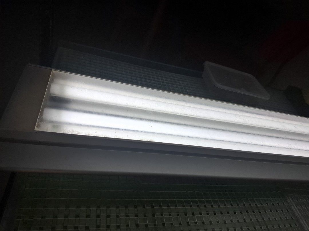 Aquarium lights, pumps, and other stuffs (Category: Homes & Other Pet Accessories) located in Singapore. Submitted by iamgood18 (Listing ID 1363267248, Image 3). Description: Fish tanks lights @ $10-$20 White Pink Blue Air pumps @ $15 each Heaters @ $10 each Wave maker @ $10 PM for details.