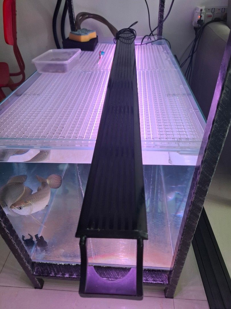 Aquarium lights, pumps, and other stuffs (Category: Homes & Other Pet Accessories) located in Singapore. Submitted by iamgood18 (Listing ID 1363267248, Image 2). Description: Fish tanks lights @ $10-$20 White Pink Blue Air pumps @ $15 each Heaters @ $10 each Wave maker @ $10 PM for details.