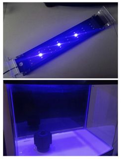 (Category: ) located in . Submitted by hanseng715 (Listing ID 1363260216, Image 1). Description: .
