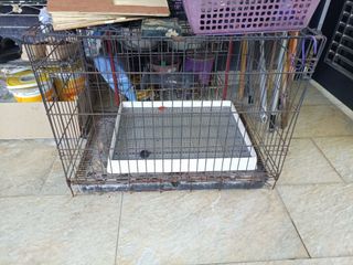 (Category: ) located in . Submitted by mariatulsh56735 (Listing ID 1363183241, Image 1). Description: .