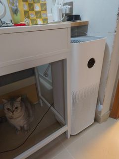 （分類：）位於 。 由 alan8872 提交（商品編號 1363485945，圖片 1）。簡介： 。