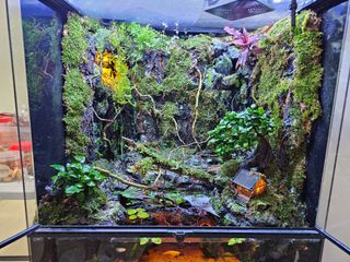 (Category: ) located in . Submitted by maidongxi.maidongxi (Listing ID 1363497037, Image 1). Description: .