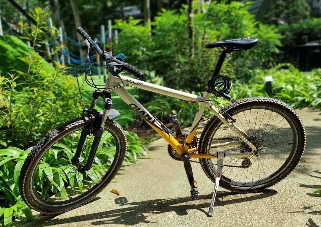 Giant Rincon 26