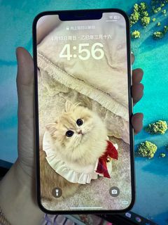 (Category: ) located in . Submitted by michelle0726 (Listing ID 1363440493, Image 1). Description: .