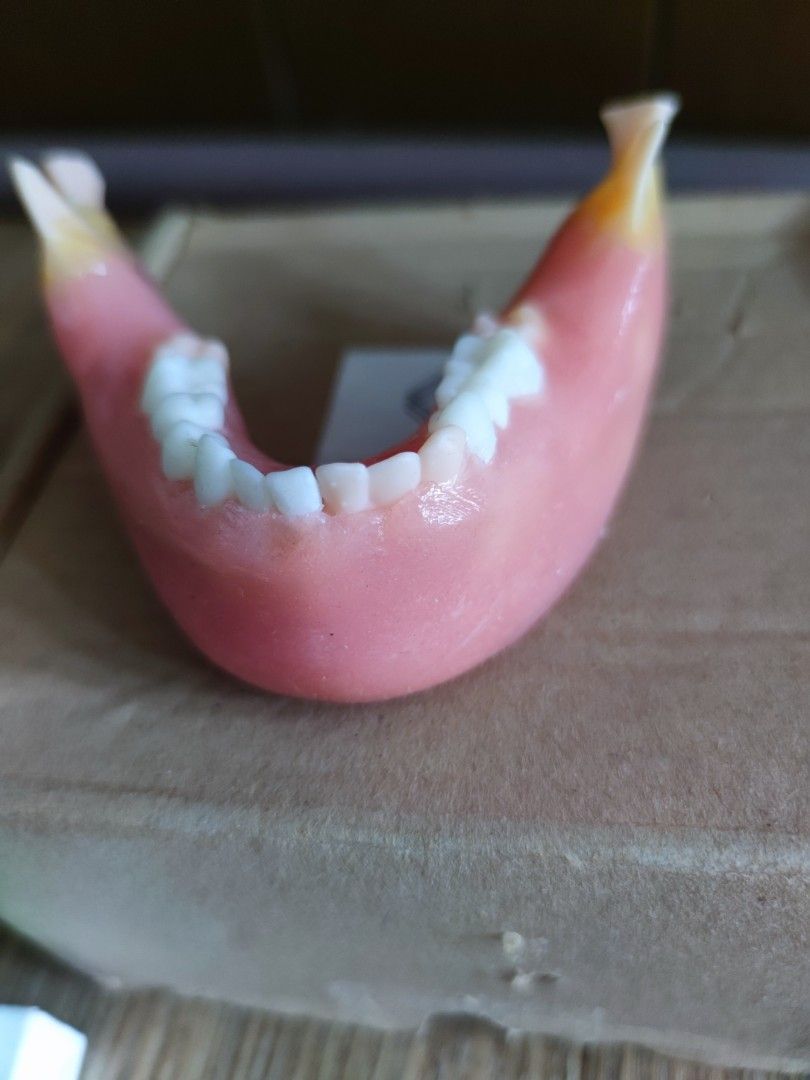 os model (Category: Medical Supplies & Tools) located in Pasay City. Submitted by Jesmin (Listing ID 1363385516, Image 2). Description: @crest dental model -oral surgery model brand new,never use..