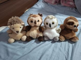 (Category: ) located in . Submitted by mango0312 (Listing ID 1363492233, Image 1). Description: .