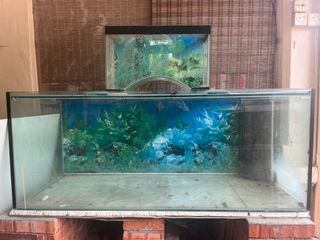 (Category: ) located in . Submitted by syadasani (Listing ID 1363611976, Image 1). Description: .