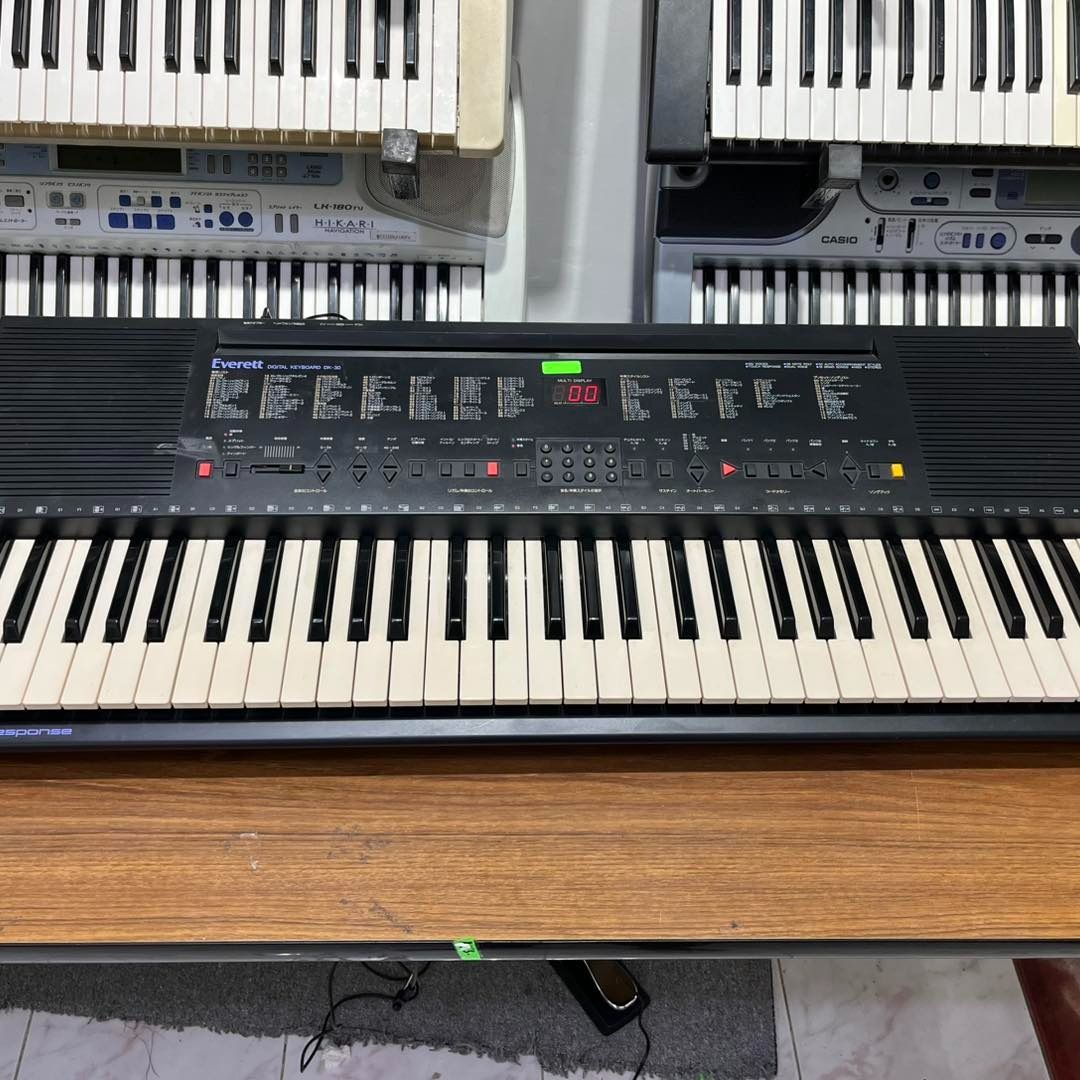 Everett DK-30 Piano Keyboard Organ 61 Keys Touch Response with built-in ...