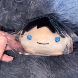Haikyuu Official 10th Anniversary Kageyama Tobio Noru Chara Plush Sealed