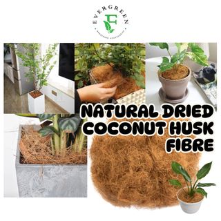 (Category: ) located in . Submitted by evergreen_gardening (Listing ID 1363615178, Image 1). Description: .