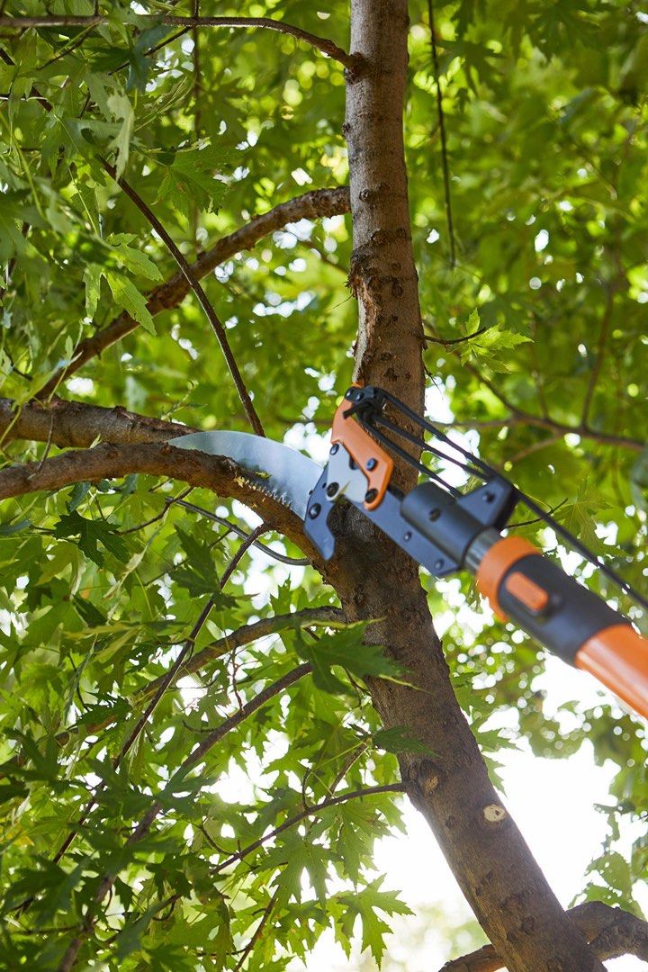 Tree pruning (Category: Grass Mowers & Trimmers) located in Singapore. Submitted by landscapeking (Listing ID 1363631013, Image 1). Description: Landscape work pm us now .