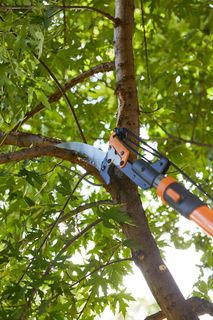 (Category: ) located in . Submitted by landscapeking (Listing ID 1363631013, Image 1). Description: .