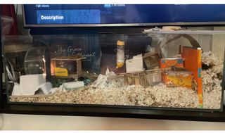 (Category: ) located in . Submitted by integrity777 (Listing ID 1363878522, Image 1). Description: .