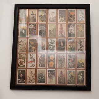 (Kategori: ) berada di . Dikirim oleh artshop107 (ID iklan 1363794759, Gambar 1). Deskripsi: .