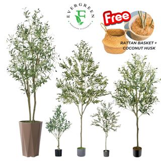 (Category: ) located in . Submitted by evergreen_gardening (Listing ID 1363783099, Image 1). Description: .