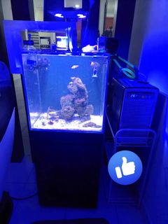 (Category: ) located in . Submitted by sitisideksf786 (Listing ID 1363823711, Image 1). Description: .