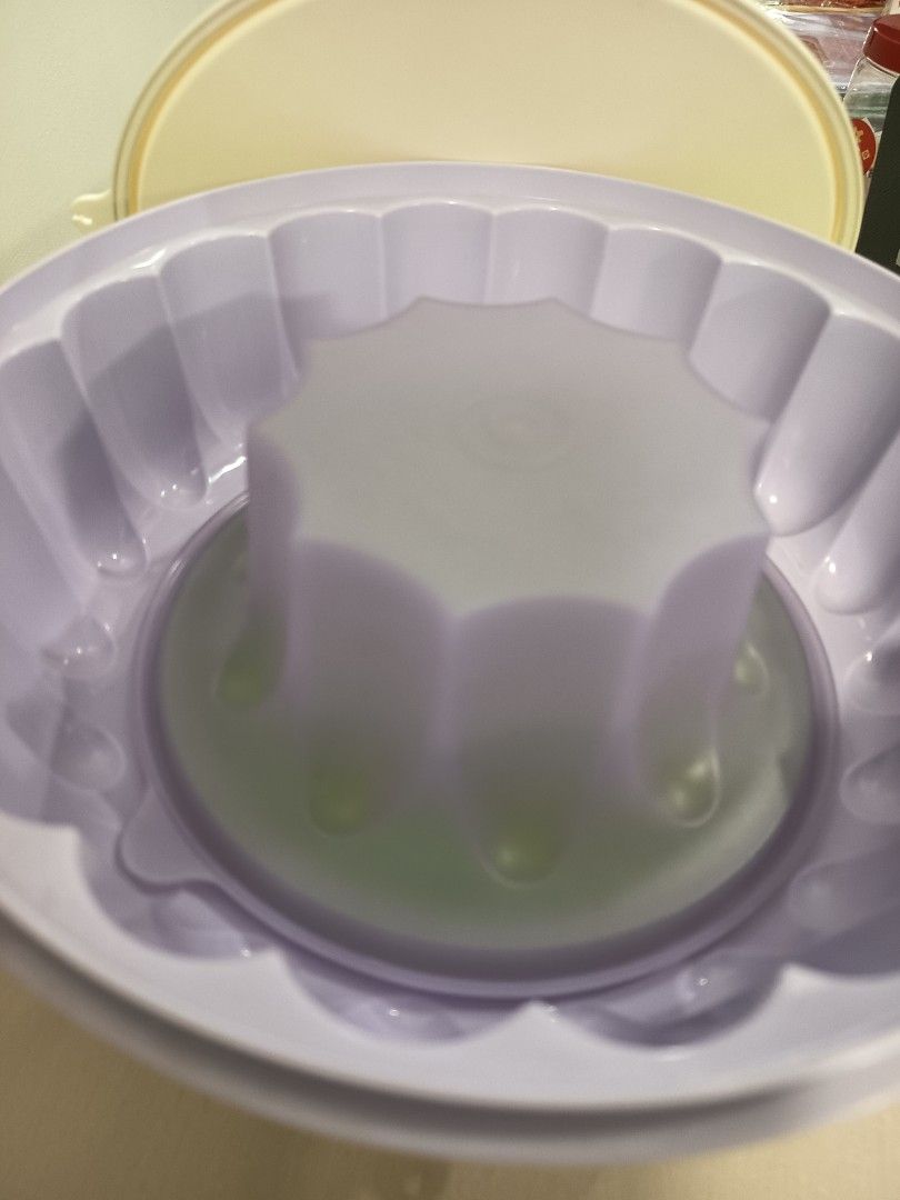 Tupperware65074078506498111