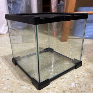 （分類：）位於 。 由 ctct12 提交（商品編號 1364057873，圖片 1）。簡介： 。
