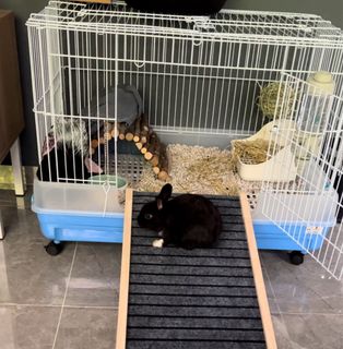 (Category: ) located in . Submitted by augustdreams (Listing ID 1364021778, Image 1). Description: .