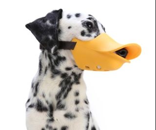 (Category: ) located in . Submitted by pawrusgroup (Listing ID 1364110044, Image 1). Description: .