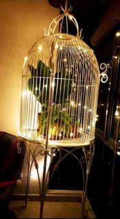 (Category: ) located in . Submitted by schwingfliegen (Listing ID 1364077097, Image 1). Description: .