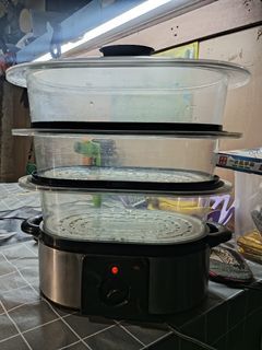 ELECTRIC STEAMER