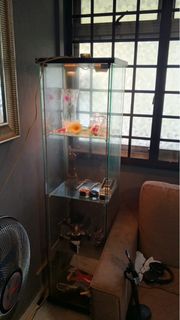 (Category: ) located in . Submitted by hanzcrow (Listing ID 1364199829, Image 1). Description: .
