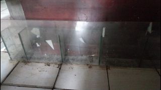 (Kategori: ) berada di . Dikirim oleh ohanah (ID iklan 1364068342, Gambar 1). Deskripsi: .