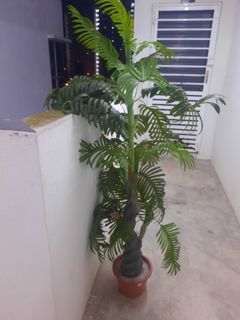 (Category: ) located in . Submitted by arepoharep (Listing ID 1364210308, Image 1). Description: .