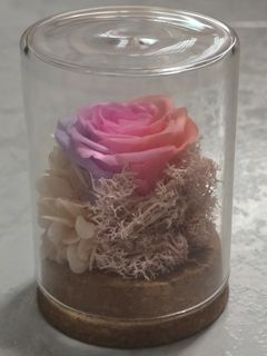 (Category: ) located in . Submitted by mochiimo (Listing ID 1364135807, Image 1). Description: .