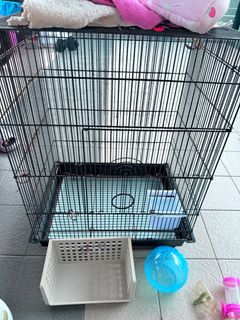 (Category: ) located in . Submitted by lieza_joo (Listing ID 1364081923, Image 1). Description: .