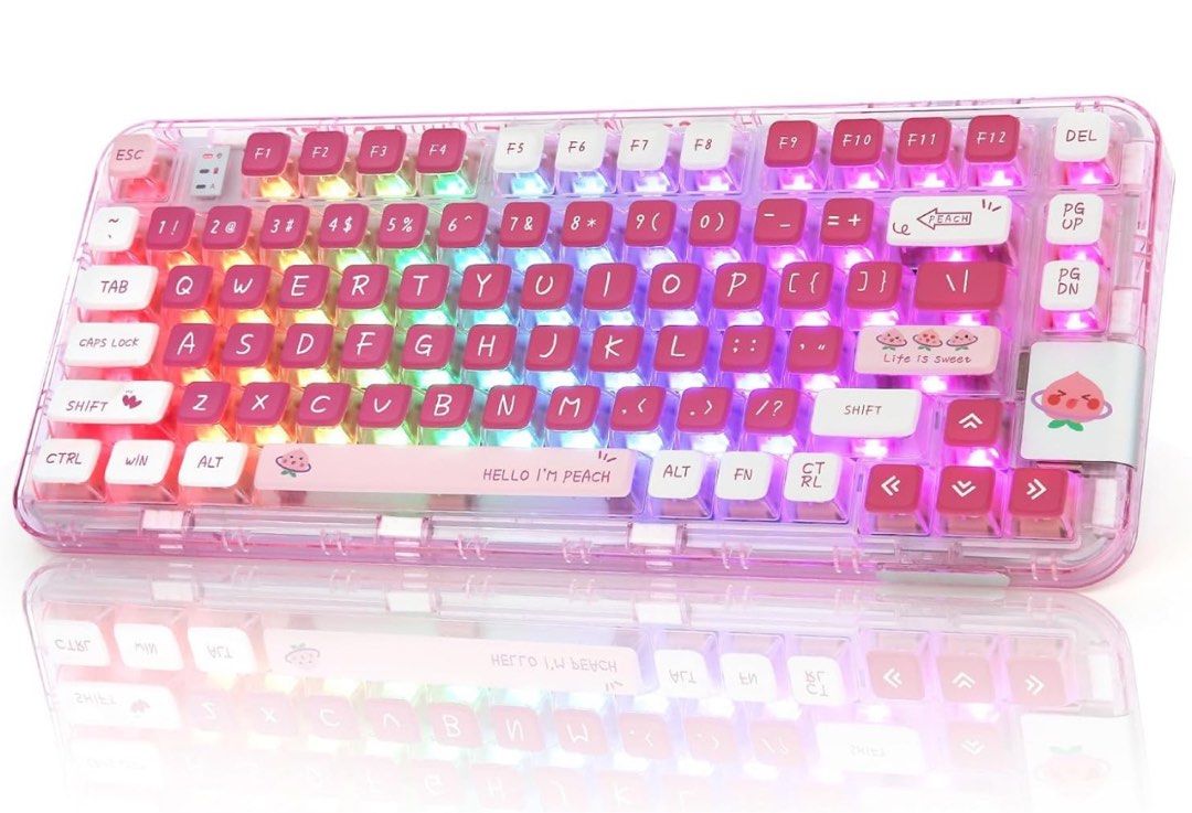Coolkiller CK75 Wireless Hot Swappable Mechanical Keyboard, Transparent Acrylic Gasket Mounted Keyboard for for Windows/Mac(Meow Switch,Peach Pink)63223792469505112