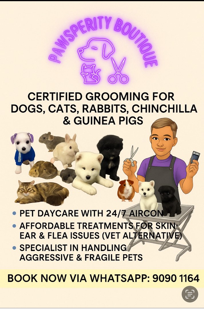 (Category: ) located in . Submitted by pawsperity_boutique (Listing ID 1279651582, Image 1). Description: .