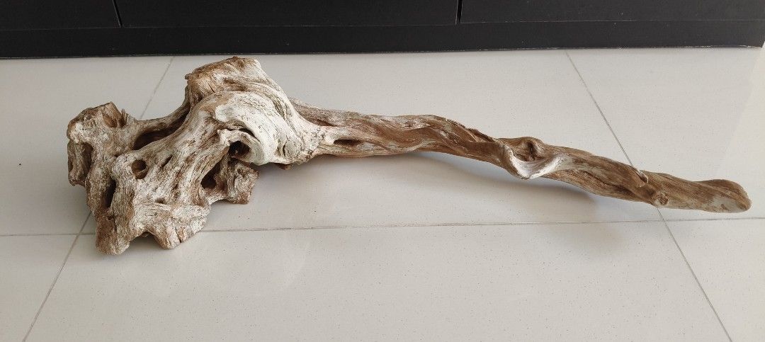 Driftwood (Category: Homes & Other Pet Accessories) located in Singapore. Submitted by g00dhope (Listing ID 1364233845, Image 1). Description: .