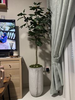 (Category: ) located in . Submitted by nothingover_10 (Listing ID 1364389647, Image 1). Description: .