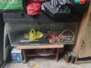 (Category: ) located in . Submitted by ibrahim_baem (Listing ID 1364511034, Image 1). Description: .