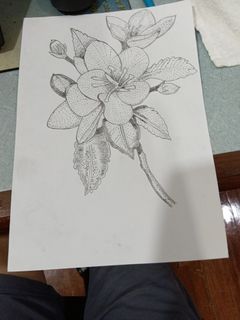 (Category: ) located in . Submitted by domlee1234 (Listing ID 1364546432, Image 1). Description: .