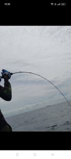 (Category: ) located in . Submitted by joe.com (Listing ID 1364517914, Image 1). Description: .