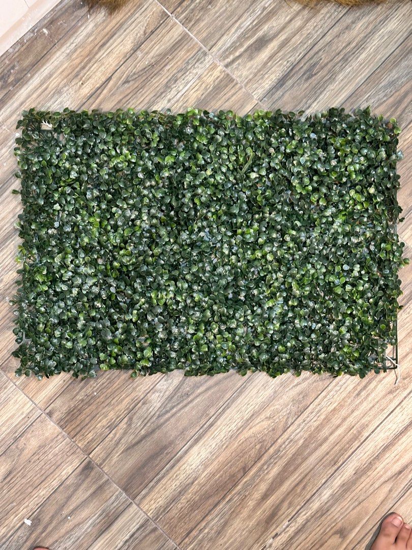 Grass Mat Artificial (Category: Artificial Plants & Flowers) located in Caloocan City. Submitted by grey_sells (Listing ID 1364471219, Image 3). Description: 6 pcs 40x60 cm Fake Grass .