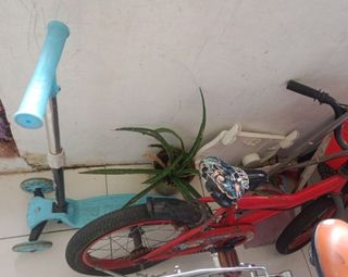 (Category: ) located in . Submitted by marmmgasm (Listing ID 1364573185, Image 1). Description: .
