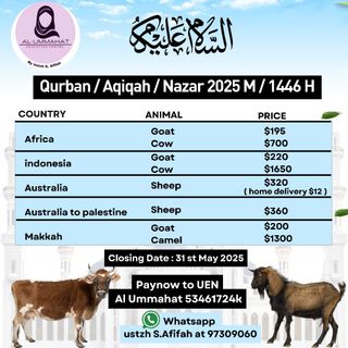 (Category: ) located in . Submitted by alummahat (Listing ID 1364506678, Image 1). Description: .
