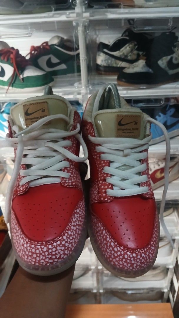 Stingwater x Nike SB Dunk Low 'Magic Mushroom'