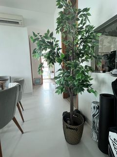 (Category: ) located in . Submitted by hoiby (Listing ID 1361596168, Image 1). Description: .