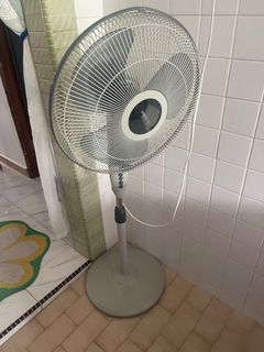 (Category: ) located in . Submitted by mdpappu (Listing ID 1361500765, Image 1). Description: .