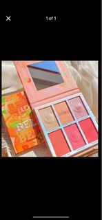 Blush palette /$15 each64219087326337110